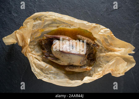 Un singolo il colombaccio Columba palumbus che è stato girato per la protezione delle colture, che è stato tostato in carta, en papillote. Popolazione del Regno Unito di legno pige Foto Stock