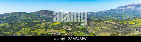 Panoramica unica vista aerea di Archanes regione rurale paesaggio. Il verde dei prati, uliveti e vigneti, in primavera. Heraklion, Creta, Grecia. Foto Stock