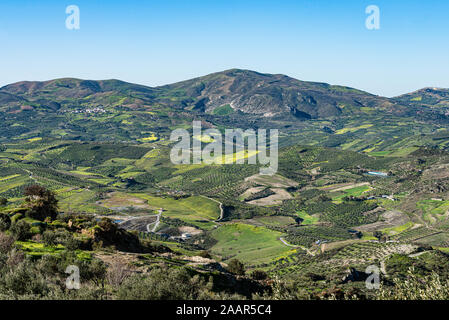 Panoramica unica vista aerea di Archanes regione rurale paesaggio. Il verde dei prati, uliveti e vigneti, in primavera. Heraklion, Creta, Grecia. Foto Stock