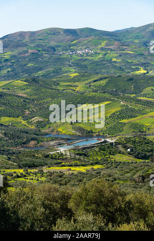 Panoramica unica vista aerea di Archanes regione rurale paesaggio. Il verde dei prati, uliveti, vigneti e del lago, in primavera. Heraklion, Creta, Gr Foto Stock