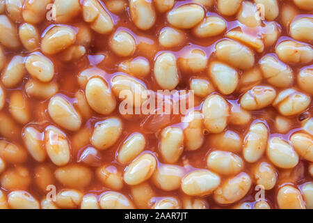 Abstract Texture di sfondo di fagioli in salsa di pomodoro Foto Stock