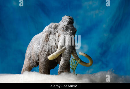 Isolato di Ice Age mammut testa su Vista Foto Stock