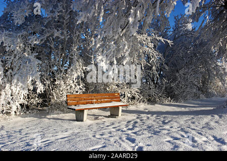 Sitzbank im Winter mit Raureif Foto Stock