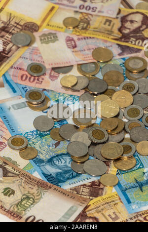 Una composizione del fiorino ungherese. HUF banconote e monete che fornisce numerose opzioni per essere usato per illustrare argomenti come business, bancario, media, p Foto Stock