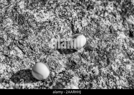 Marmi in vetro bianco e nero su superficie ruvida in pietra. Per qualcosa perso, salute mentale, perdere i vostri marmi, sfere astratte, sogni, Biden & marmi. Foto Stock