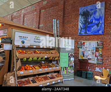 All'interno di Newtown Mercato, Market Street, Newtown, POWYS, GALLES, SY16 2PQ Foto Stock