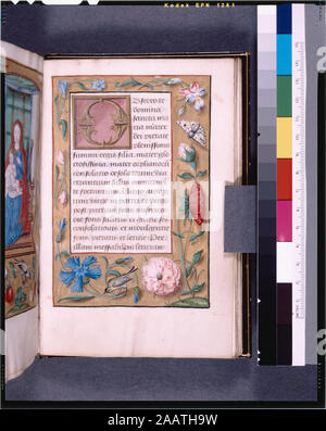 Scriba differente o diversi script style; confine cosparso di fiori, insetti, uccelli elencati in de Ricci, Seymour, il censimento di medievale e rinascimentale, manoscritti negli Stati Uniti e in Canada. New York. N.Y.: H.W. Wilson, 1935; e il supplemento, New York, N.Y.: Società Bibliografica dell'America, 1962. Proprietà : realizzato per la altrimenti sconosciuto chierico inginocchiato nell'immagine su f.115v. Proprietà (1582) da Quentin Tollenaere (de Tolnare) e sua moglie Marie de Cambry (f. 1). R.L. Stuart raccolta, tramandato 1892. 17 lungo le linee per pagina, governato in rosso. Alcuni prickings ancora visibile. 2 scribi?, con s Foto Stock