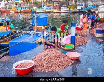 Persone indiane che lavorano a Sassoon Docks a Mumbai India Foto Stock