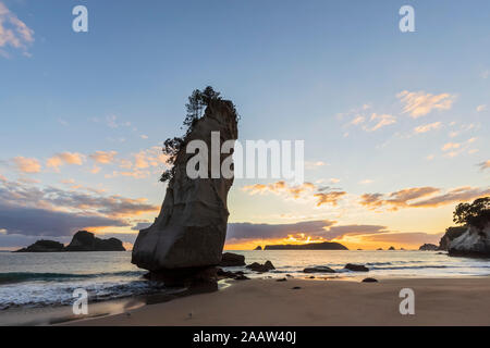 Nuova Zelanda, Isola del nord, Waikato, Te Hoho Rock al tramonto Foto Stock