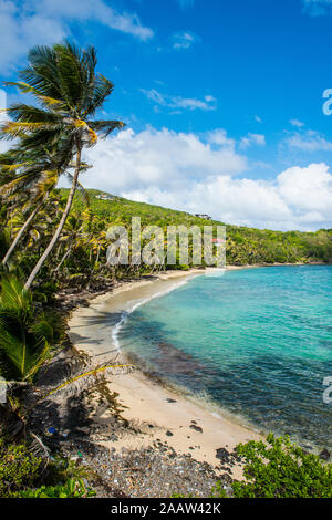 Vista panoramica della spiaggia di sabbia a Baia di industria, Bequia, Saint Vincent e Grenadine, dei Caraibi Foto Stock