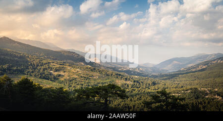 Albertacce, Lac de Calacuccia nella luce della sera, Haute-Corse, Corsica, Francia Foto Stock