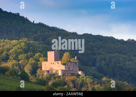 Klingenmünster: Landeck Castello, vigneto in Weinstraße, Itinerario dei vini tedeschi, Renania-Palatinato, Renania-Palatinato, Germania Foto Stock