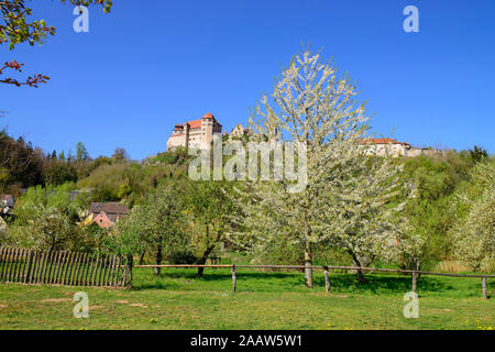 Basso angolo vista di Harburg castello sul monte contro il cielo blu e chiaro durante la giornata di sole, Germania Foto Stock