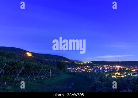 Klingenmünster: Landeck Castello, vigneto, villaggio Klingenmünster in Weinstraße, Itinerario dei vini tedeschi, Renania-Palatinato, Renania-Palatinato, Germania Foto Stock