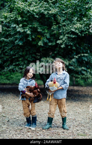 Due bambini azienda polli su di una azienda agricola biologica Foto Stock