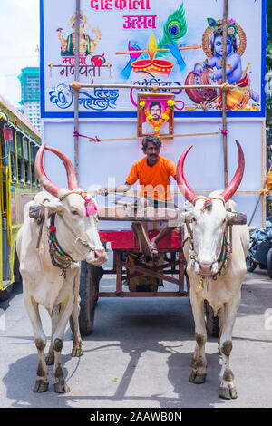 L'uomo indiano partecipa al festival Janmashtami a Mumbai India Foto Stock