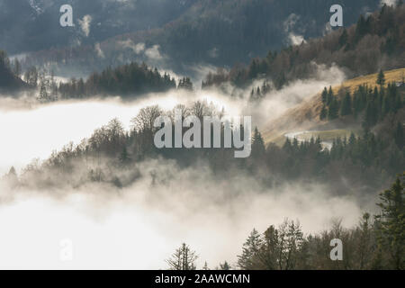 Nebbia sorge nella valle e si fa strada su per la collina. Il sole è di illuminare la scena con un piccolo avvolgimento su strada il suo modo attraverso il mistico mis Foto Stock