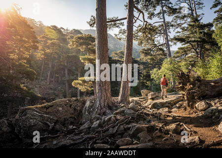 Escursionista femmina durante la camminata, Albertacce, Haute-Corse, Corsica, Francia Foto Stock