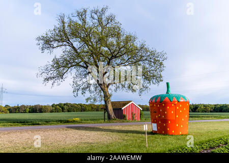 Germania, Schleswig-Holstein, Holstein Svizzera, fragola a forma permanente di stallo da vuoto strada di campagna Foto Stock