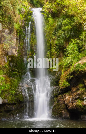 Le cascate Inferiori, Kaiate Falls, Baia di Planty, Isola del nord, Nuova Zelanda Foto Stock