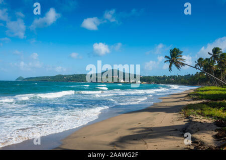 Vista panoramica della spiaggia contro il cielo blu a Sauteurs, Grenada, dei Caraibi Foto Stock