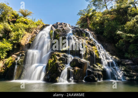 Nuova Zelanda, Isola del nord, Waikato, Waikino, vista panoramica delle cascate Owharoa Foto Stock