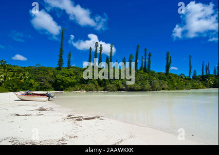 Barca ormeggiata presso la spiaggia da alberi contro il cielo blu, Melanesia, Nuova Caledonia Foto Stock
