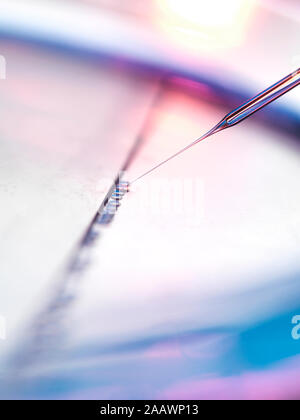 Close-up di campioni il pipettaggio in piastre petri per la ricerca sulle cellule staminali in laboratorio Foto Stock