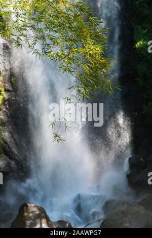 Vista di Trafalgar Falls schizzi sulle rocce nel Parco nazionale Morne Trois Pitons, Dominica, dei Caraibi Foto Stock