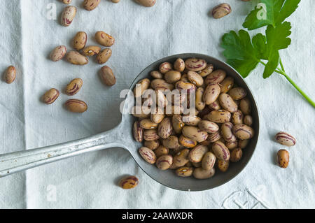 Direttamente sopra il colpo di fagioli borlotto in siviera sulla tovaglia Foto Stock