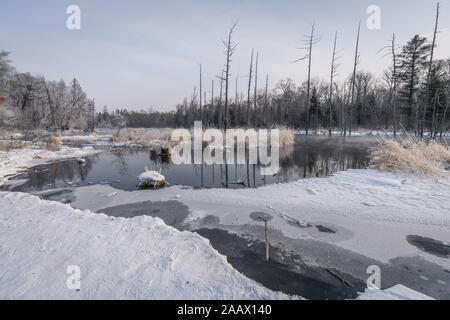 Paesaggio invernale della foresta, fiume e laghi con ghiaccio e neve al crepuscolo in Changbai Mountain, provincia di Jilin, Cina Foto Stock