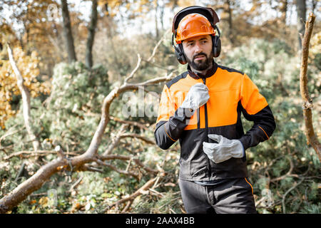 Vita-up verticale di un professionista lumberman indossando indumenti protettivi, la preparazione per la registrazione lavoro in pineta Foto Stock