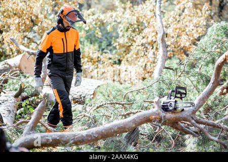 Professional lumberman in indumenti da lavoro protettiva per raggiungere a piedi l'albero abbattuto durante un lavoro di registrazione con una motosega nel bosco Foto Stock