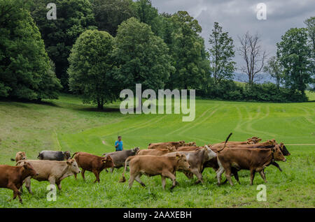 La vita in una fattoria Foto Stock