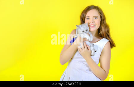 Bella ragazza su sfondo giallo tiene tra le sue braccia e abbracci un po' carino gattino. Posto per il testo Foto Stock