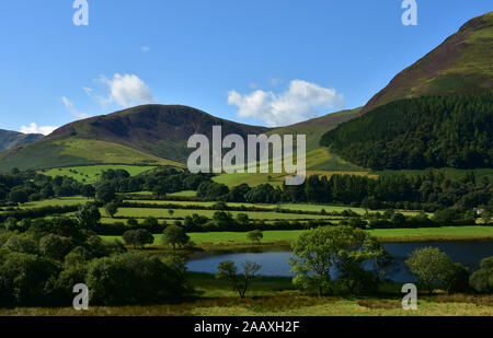 Estremità meridionale di Loweswater dal lato orientale, Cumbria Foto Stock