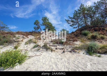 Mar Baltico Dune tra Pogorzelica Mrzezyno e frazioni di Gryfice contea in West Pomerania voivodato di Polonia Foto Stock