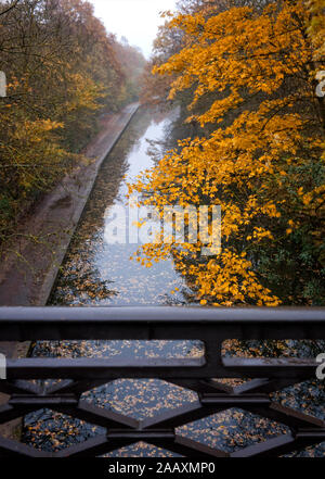 Al parco di Regents Canal in autunno, Camden London REGNO UNITO Foto Stock