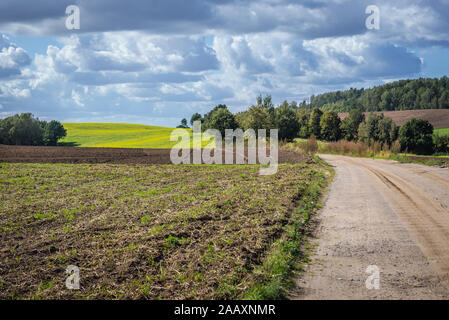 Country Road in Ostroda contea di Warmian-Masurian Voivodato in Polonia settentrionale Foto Stock