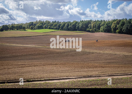 Campi arati sul confine di Ilawa Ostroda e contea di Warmian-Masurian Voivodato in Polonia settentrionale Foto Stock