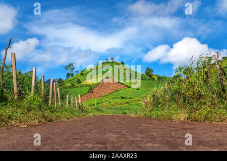 Veduta aerea della montagna del vulcano Chu Dang Ya con fiore da Quy o Tithonia diversifolia fiore vicino alla città Di Pleiku, provincia di Gia Lai, Vietnam. Chu DangYa Foto Stock