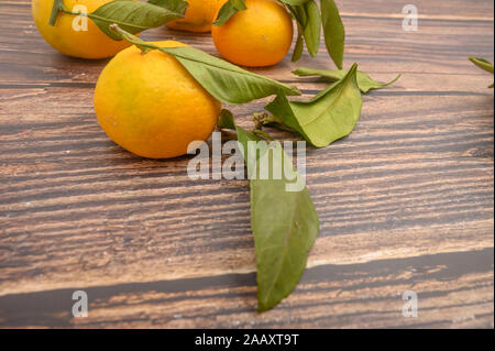 A pochi giallo tangerini sui rami con foglie verdi su uno sfondo di legno. Raccolto autunnale. L'agricoltura moderna. Per una dolcezza. Close up Foto Stock