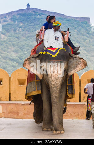 Elephant prendendo i turisti al forte di Amber a Jaipur, India Foto Stock