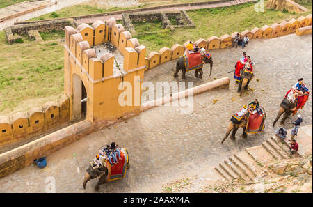 Gli elefanti di prendere i turisti fino al Amer Palace a Jaipur, India Foto Stock