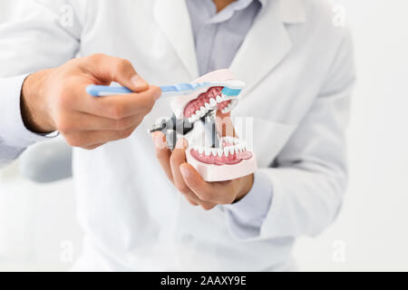 Close up dentale ganascia in plastica nelle mani del dentista Foto Stock