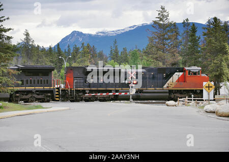Treno merci attraversa la strada in Jasper. Lo stato di Alberta. In Canada. Foto Stock