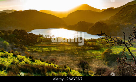 Llyn Gwynant, vicino Beddgelert, Gwynedd, il Galles del Nord. Questo lago si trova ai piedi di Snowdon, ma Snowdon non è nel telaio. Immagine presa nel novembre 2019. Foto Stock