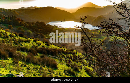 Llyn Gwynant, vicino Beddgelert, Gwynedd, il Galles del Nord. Questo lago si trova ai piedi di Snowdon, ma Snowdon non è nel telaio. Immagine presa nel novembre 2019. Foto Stock