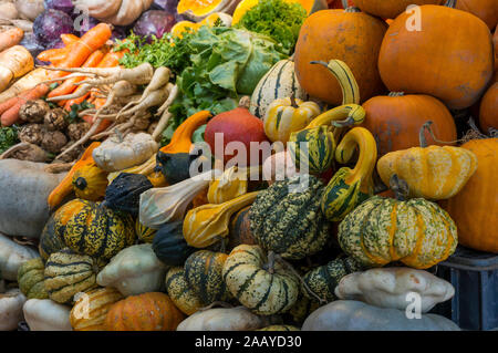 Colore di autunno zucche im Whole Foods Market. Caduta ispirato di tavolozze di colori. Autunno del mercato ortofrutticolo: varietà di squash e zucche Foto Stock