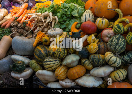 Colore di autunno zucche im Whole Foods Market. Caduta ispirato di tavolozze di colori. Autunno del mercato ortofrutticolo: varietà di squash e zucche Foto Stock